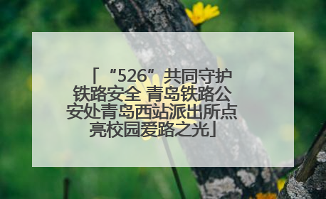 “526”共同守护铁路安全 青岛铁路公安处青岛西站派出所点亮校园爱路之光