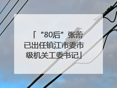 “80后”张蕾已出任镇江市委市级机关工委书记