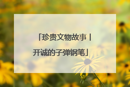 珍贵文物故事丨开诚的子弹钢笔