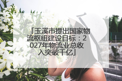 玉溪市提出国家物流枢纽建设目标：2027年物流业总收入突破千亿