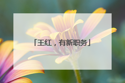 王红，有新职务