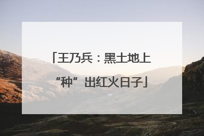 王乃兵：黑土地上“种”出红火日子