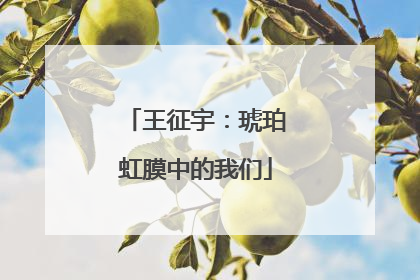 王征宇：琥珀虹膜中的我们