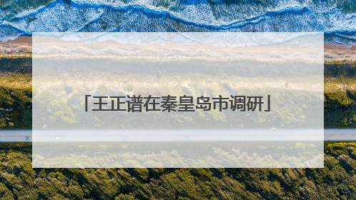 王正谱在秦皇岛市调研