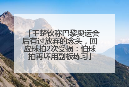 王楚钦称巴黎奥运会后有过放弃的念头，回应球拍2次受损：怕球拍再坏用副板练习