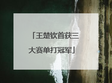 王楚钦首获三大赛单打冠军