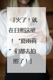 火了！就在日照这里！“夏雨荷”们都去拍照了！