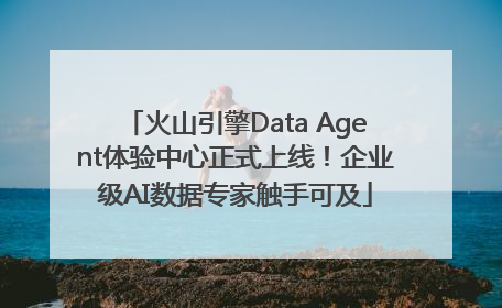 火山引擎Data Agent体验中心正式上线！企业级AI数据专家触手可及