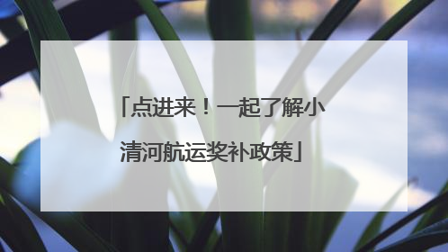 点进来！一起了解小清河航运奖补政策