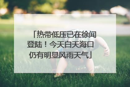 热带低压已在徐闻登陆！今天白天海口仍有明显风雨天气