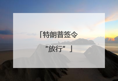 特朗普签令“放行”