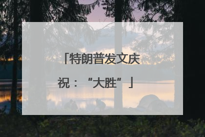 特朗普发文庆祝：“大胜”
