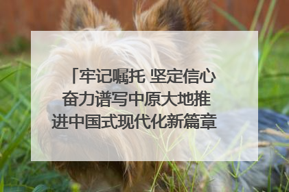 牢记嘱托 坚定信心 奋力谱写中原大地推进中国式现代化新篇章（六）河南绘就“行走河南·读懂中国”新画卷丨牢记嘱托谱新篇