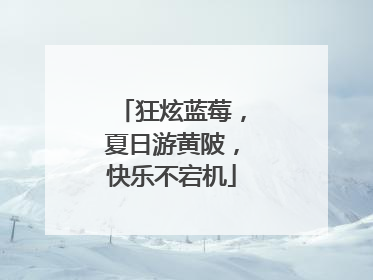 狂炫蓝莓，夏日游黄陂，快乐不宕机