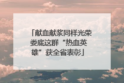 献血献浆同样光荣 娄底这群“热血英雄”获全省表彰