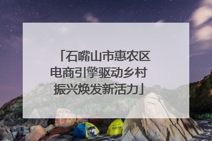 石嘴山市惠农区电商引擎驱动乡村振兴焕发新活力