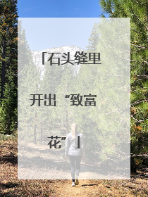 石头缝里开出“致富花”