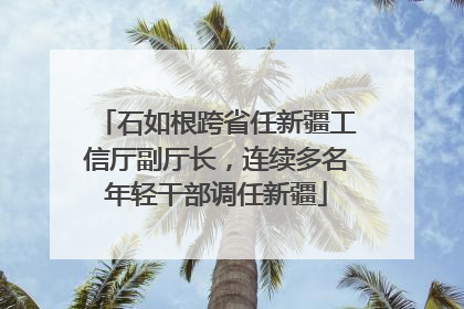 石如根跨省任新疆工信厅副厅长，连续多名年轻干部调任新疆