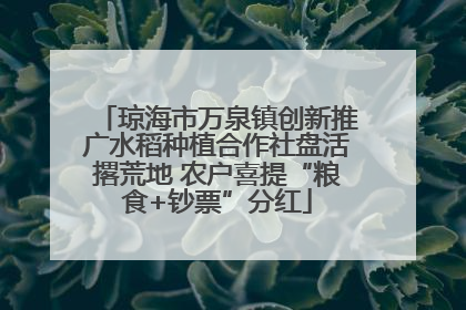 琼海市万泉镇创新推广水稻种植合作社盘活撂荒地 农户喜提“粮食+钞票”分红
