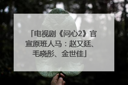 电视剧《问心2》官宣原班人马：赵又廷、毛晓彤、金世佳