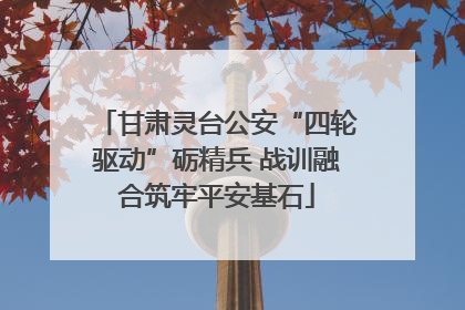 甘肃灵台公安“四轮驱动”砺精兵 战训融合筑牢平安基石