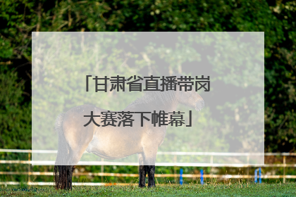 甘肃省直播带岗大赛落下帷幕