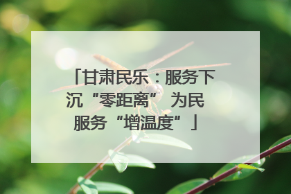 甘肃民乐：服务下沉“零距离” 为民服务“增温度”