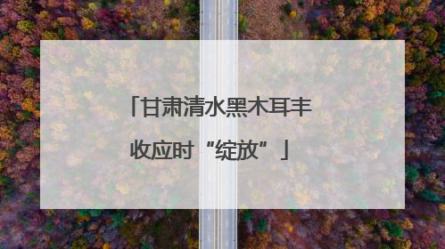 甘肃清水黑木耳丰收应时“绽放”