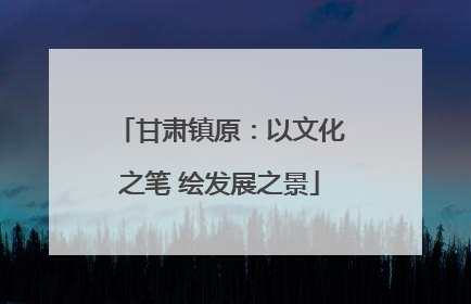 甘肃镇原：以文化之笔 绘发展之景