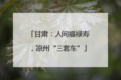甘肃：人间福禄寿，凉州“三套车”