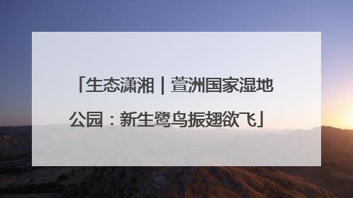 生态潇湘｜萱洲国家湿地公园：新生鹭鸟振翅欲飞