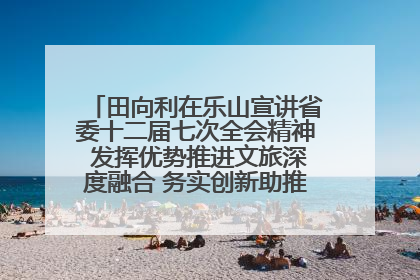 田向利在乐山宣讲省委十二届七次全会精神 发挥优势推进文旅深度融合 务实创新助推高质量发展