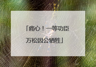 痛心！一等功臣万松因公牺牲