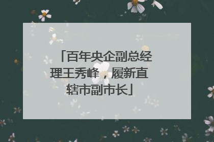 百年央企副总经理王秀峰，履新直辖市副市长