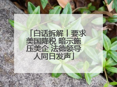 白话拆解丨要求美国降税 暗示施压美企 法德领导人同日发声