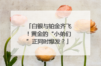 白银与铂金齐飞！黄金的“小弟们”正同时爆发？