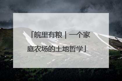皖里有粮｜一个家庭农场的土地哲学