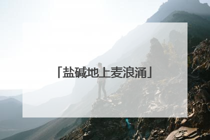 盐碱地上麦浪涌