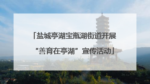盐城亭湖宝瓶湖街道开展“善育在亭湖”宣传活动