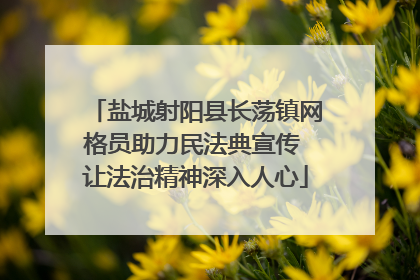 盐城射阳县长荡镇网格员助力民法典宣传 让法治精神深入人心