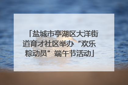 盐城市亭湖区大洋街道育才社区举办“欢乐粽动员”端午节活动
