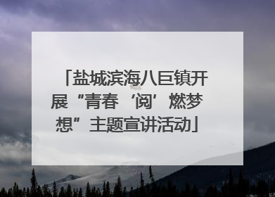 盐城滨海八巨镇开展“青春‘阅’燃梦想”主题宣讲活动