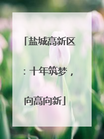 盐城高新区：十年筑梦，向高向新