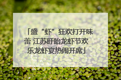 盛“虾”狂欢打开味蕾 江苏盱眙龙虾节欢乐龙虾宴热闹开席