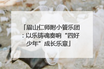 眉山仁师附小管乐团：以乐铸魂奏响“四好少年”成长乐章