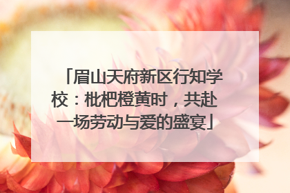 眉山天府新区行知学校：枇杷橙黄时，共赴一场劳动与爱的盛宴