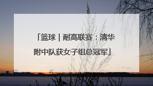 篮球｜耐高联赛：清华附中队获女子组总冠军
