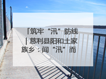 筑牢“汛”防线｜慈利县阳和土家族乡：闻“汛”而动 全员下沉筑牢防汛“安全堤”