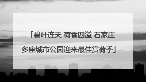 碧叶连天 荷香四溢 石家庄多座城市公园迎来最佳赏荷季