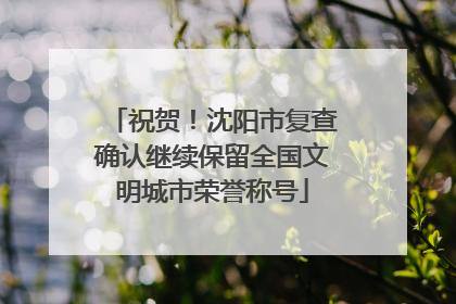 祝贺！沈阳市复查确认继续保留全国文明城市荣誉称号